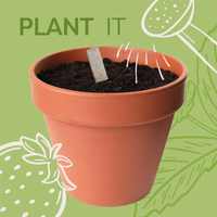 Bee Seedsticks®